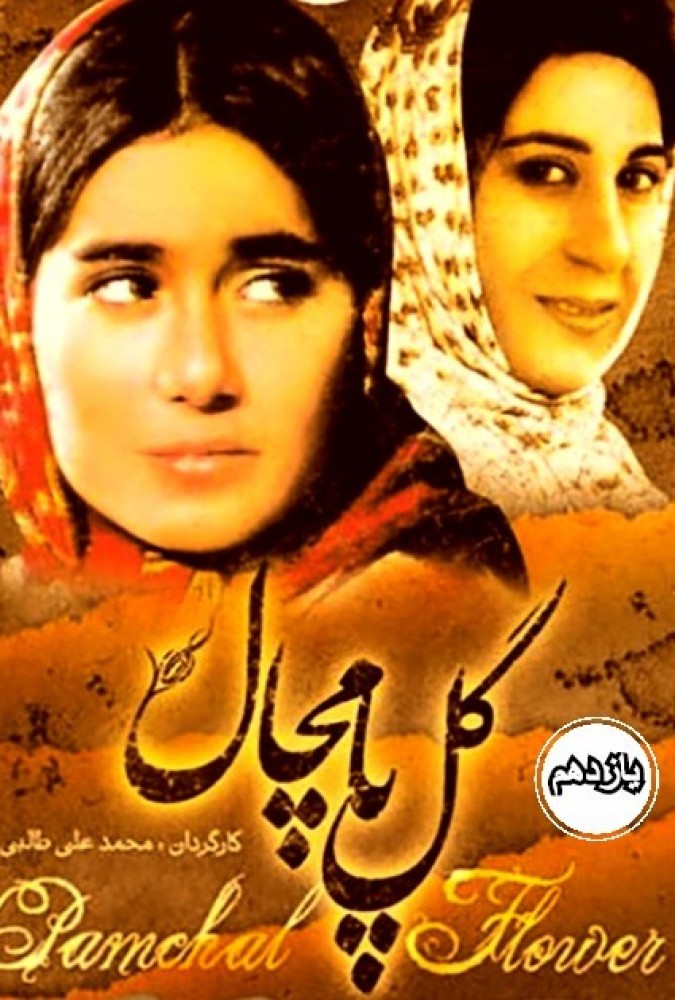 گل پامچال