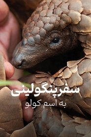 پانگولین: سفر کولو